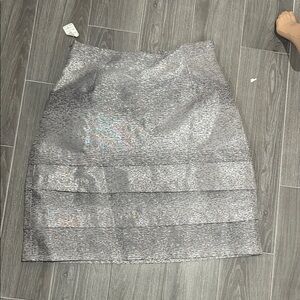 Elegant Silver Women's Skirt